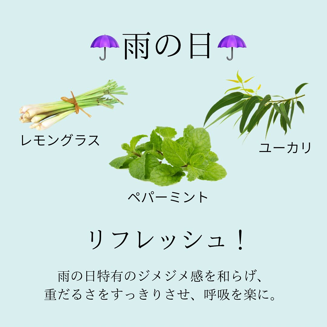 🌿 お天気とアロマの楽しみ方 ☀️☔️🌥️