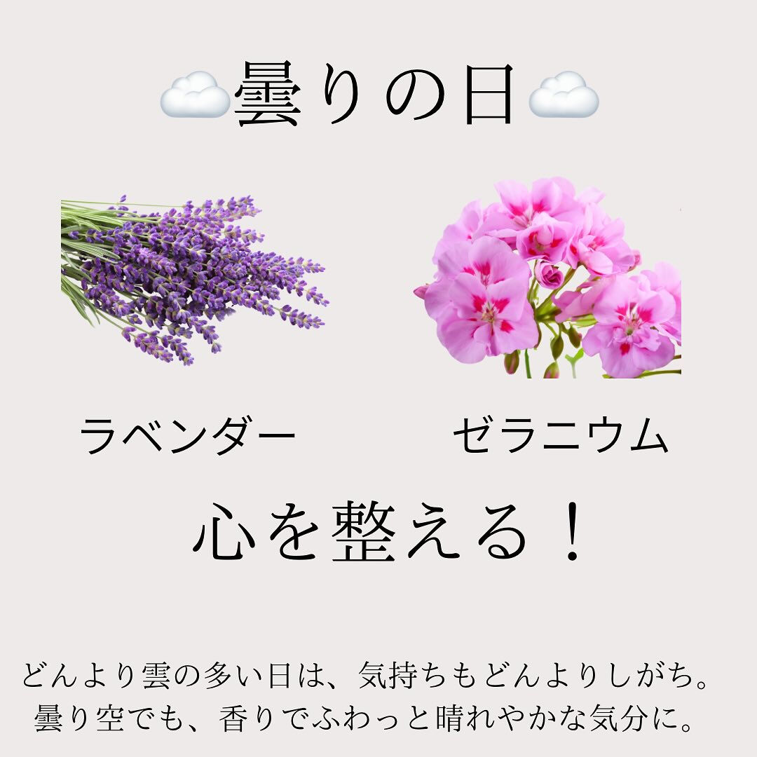 🌿 お天気とアロマの楽しみ方 ☀️☔️🌥️